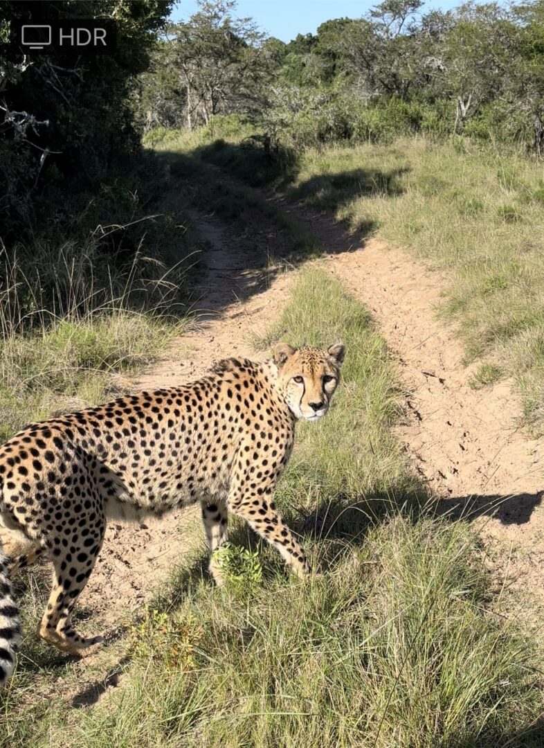 Sortir de sa zone de confort